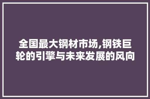 全国最大钢材市场,钢铁巨轮的引擎与未来发展的风向标 景观设计