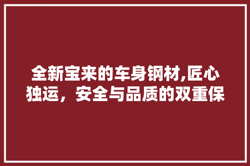全新宝来的车身钢材,匠心独运，安全与品质的双重保障
