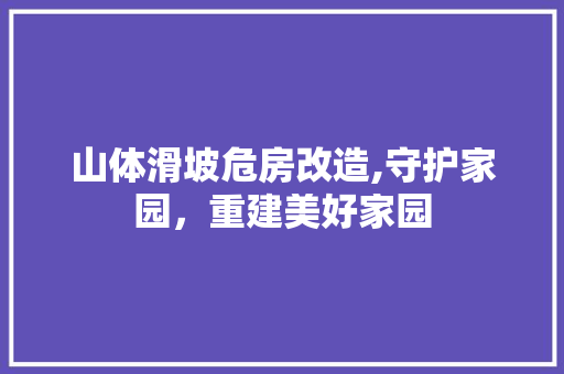 山体滑坡危房改造,守护家园，重建美好家园