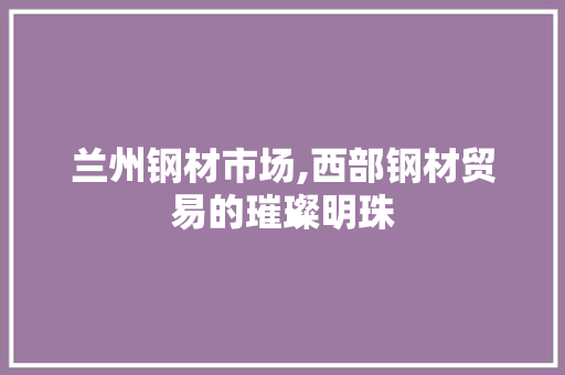 兰州钢材市场,西部钢材贸易的璀璨明珠