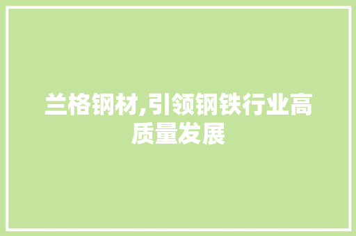 兰格钢材,引领钢铁行业高质量发展