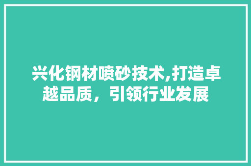 兴化钢材喷砂技术,打造卓越品质，引领行业发展
