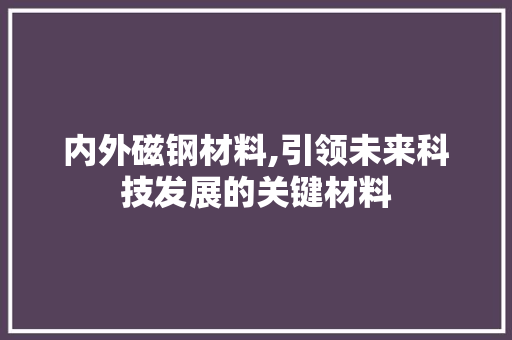 内外磁钢材料,引领未来科技发展的关键材料