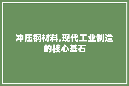 冲压钢材料,现代工业制造的核心基石