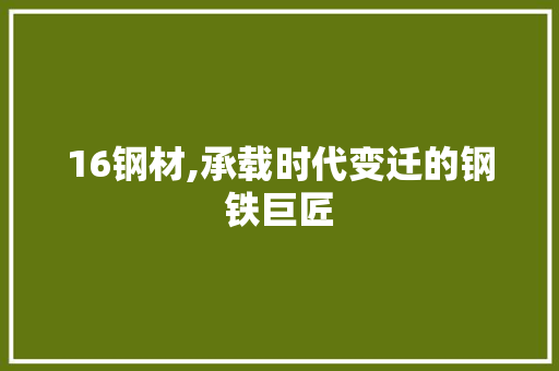 16钢材,承载时代变迁的钢铁巨匠