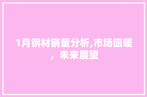 1月钢材销量分析,市场回暖，未来展望