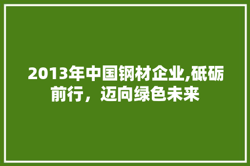 2013年中国钢材企业,砥砺前行，迈向绿色未来