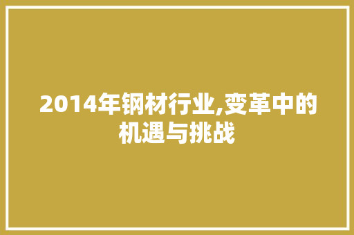 2014年钢材行业,变革中的机遇与挑战 地面装修