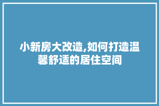 小新房大改造,如何打造温馨舒适的居住空间