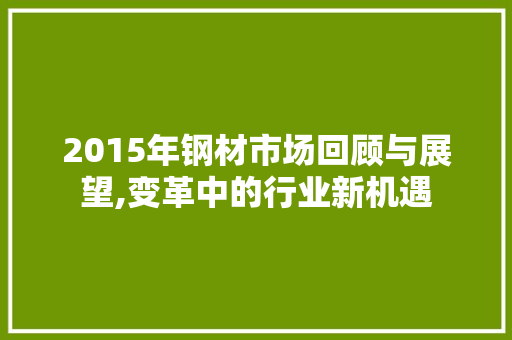 2015年钢材市场回顾与展望,变革中的行业新机遇