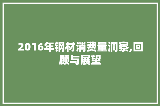 2016年钢材消费量洞察,回顾与展望