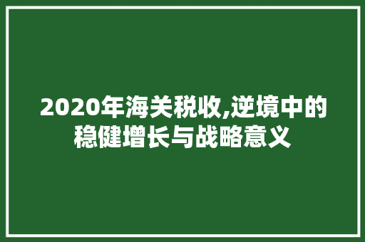 2020年海关税收,逆境中的稳健增长与战略意义