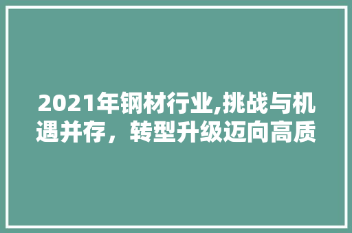 2021年钢材行业,挑战与机遇并存，转型升级迈向高质量发展