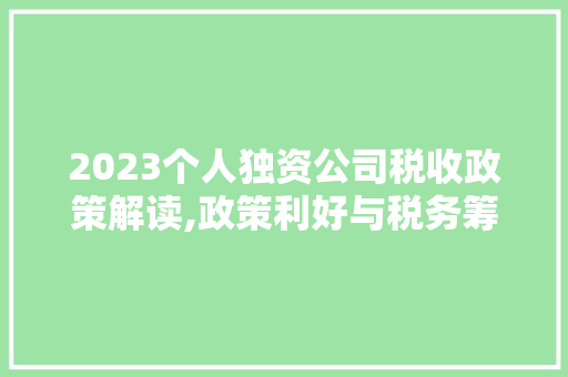2023个人独资公司税收政策解读,政策利好与税务筹划