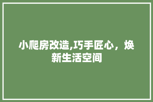 小爬房改造,巧手匠心，焕新生活空间