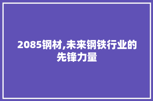 2085钢材,未来钢铁行业的先锋力量
