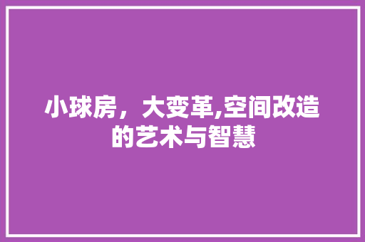 小球房，大变革,空间改造的艺术与智慧