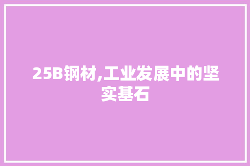 25B钢材,工业发展中的坚实基石