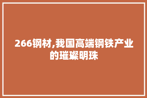 266钢材,我国高端钢铁产业的璀璨明珠