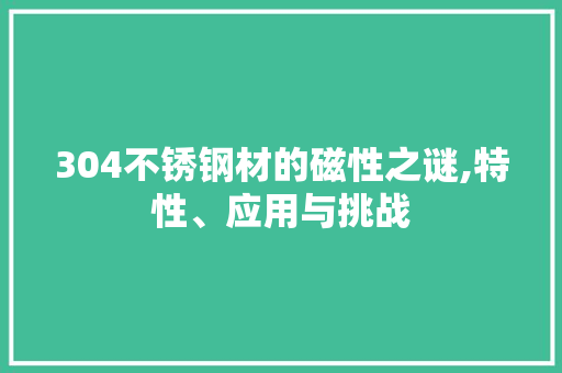 304不锈钢材的磁性之谜,特性、应用与挑战