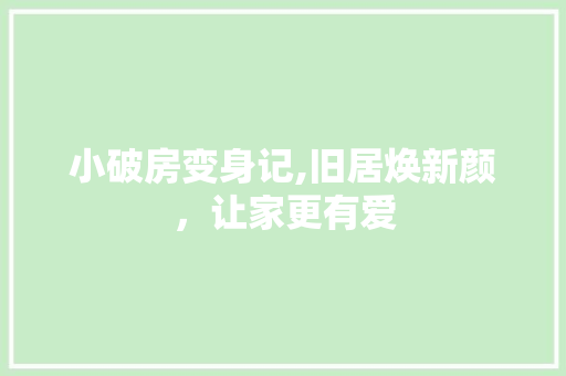 小破房变身记,旧居焕新颜，让家更有爱