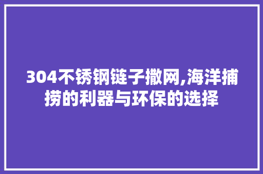 304不锈钢链子撒网,海洋捕捞的利器与环保的选择