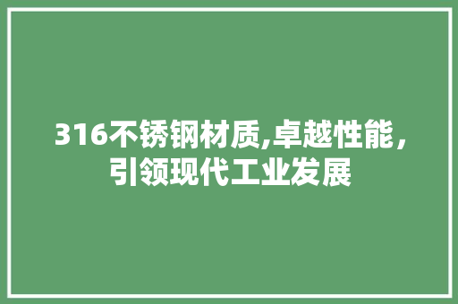 316不锈钢材质,卓越性能，引领现代工业发展