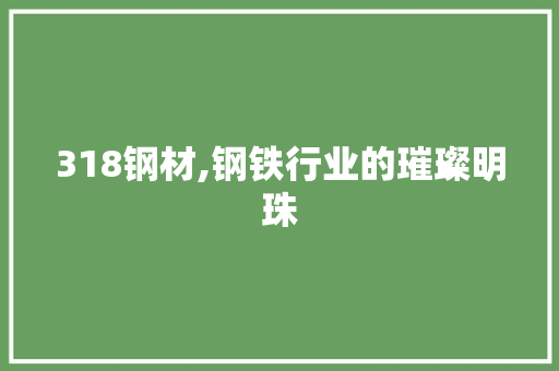 318钢材,钢铁行业的璀璨明珠