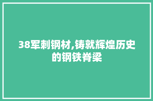 38军刺钢材,铸就辉煌历史的钢铁脊梁