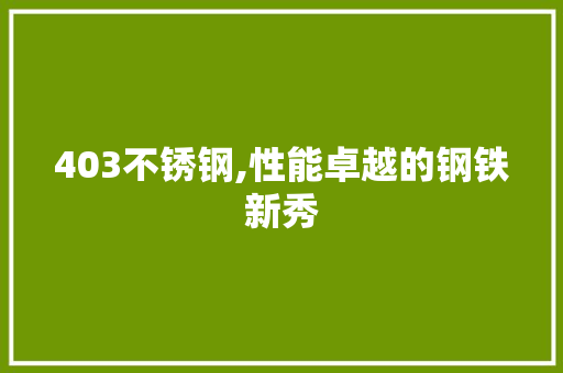 403不锈钢,性能卓越的钢铁新秀