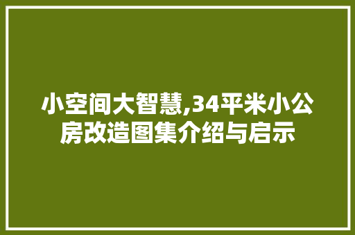 小空间大智慧,34平米小公房改造图集介绍与启示