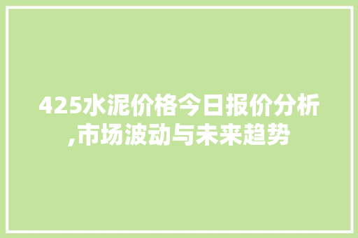 425水泥价格今日报价分析,市场波动与未来趋势