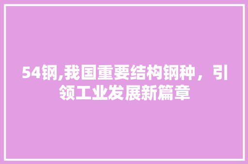 54钢,我国重要结构钢种，引领工业发展新篇章