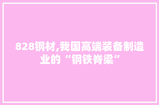 828钢材,我国高端装备制造业的“钢铁脊梁”