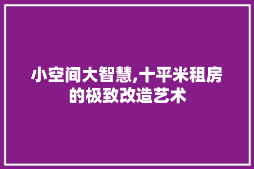小空间大智慧,十平米租房的极致改造艺术