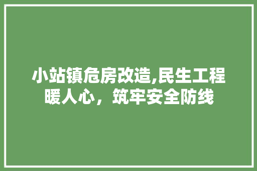 小站镇危房改造,民生工程暖人心，筑牢安全防线