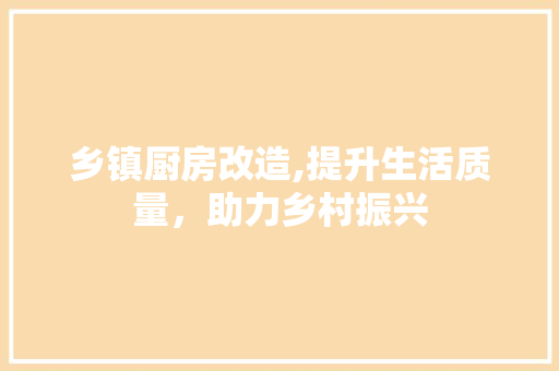 乡镇厨房改造,提升生活质量，助力乡村振兴
