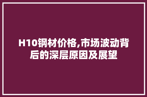 H10钢材价格,市场波动背后的深层原因及展望