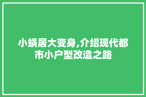 小蜗居大变身,介绍现代都市小户型改造之路