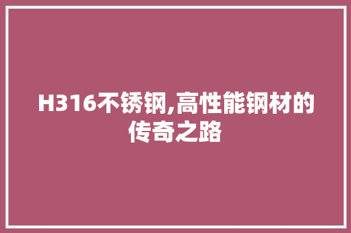 H316不锈钢,高性能钢材的传奇之路