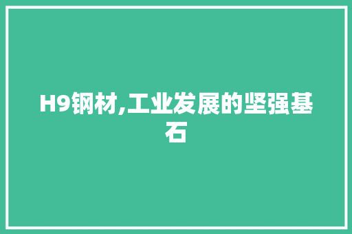 H9钢材,工业发展的坚强基石