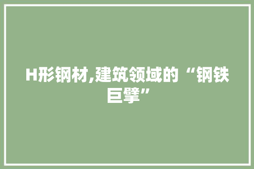 H形钢材,建筑领域的“钢铁巨擘”