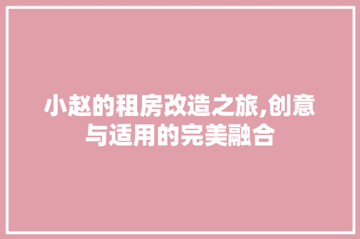 小赵的租房改造之旅,创意与适用的完美融合