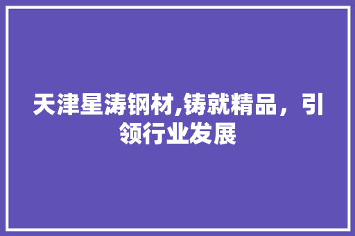 天津星涛钢材,铸就精品，引领行业发展