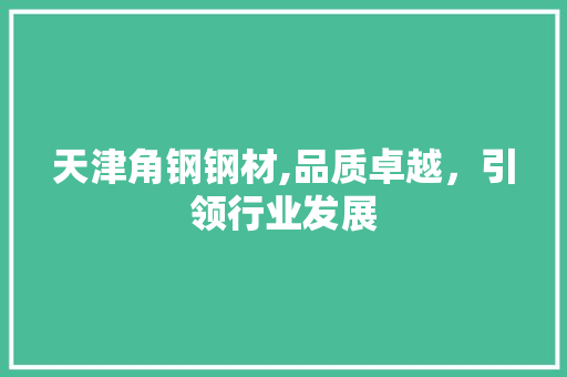 天津角钢钢材,品质卓越，引领行业发展