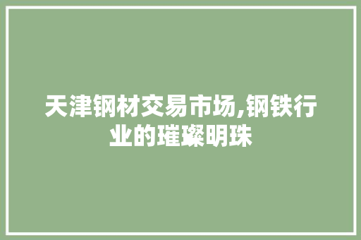 天津钢材交易市场,钢铁行业的璀璨明珠