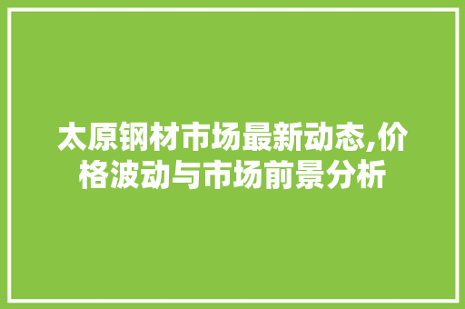 太原钢材市场最新动态,价格波动与市场前景分析