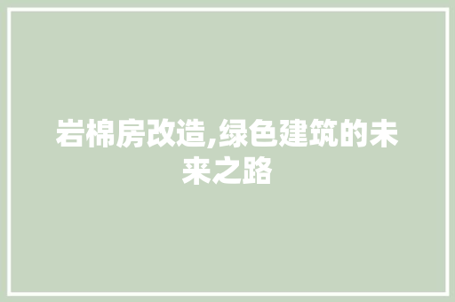 岩棉房改造,绿色建筑的未来之路