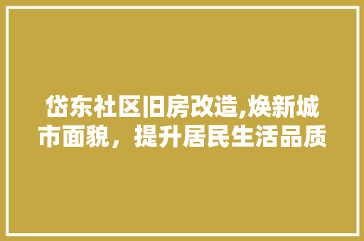 岱东社区旧房改造,焕新城市面貌，提升居民生活品质