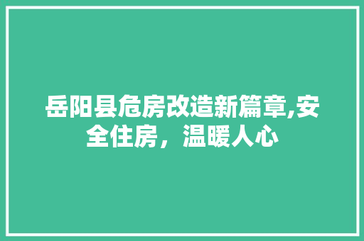 岳阳县危房改造新篇章,安全住房，温暖人心